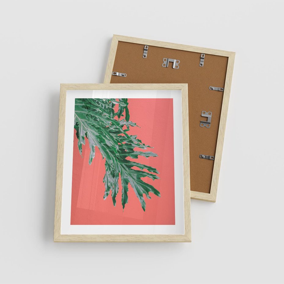 Plakat w ramie 40x50 - Energetyczna Eksplozja Natury - liście, kolor - rama drewno