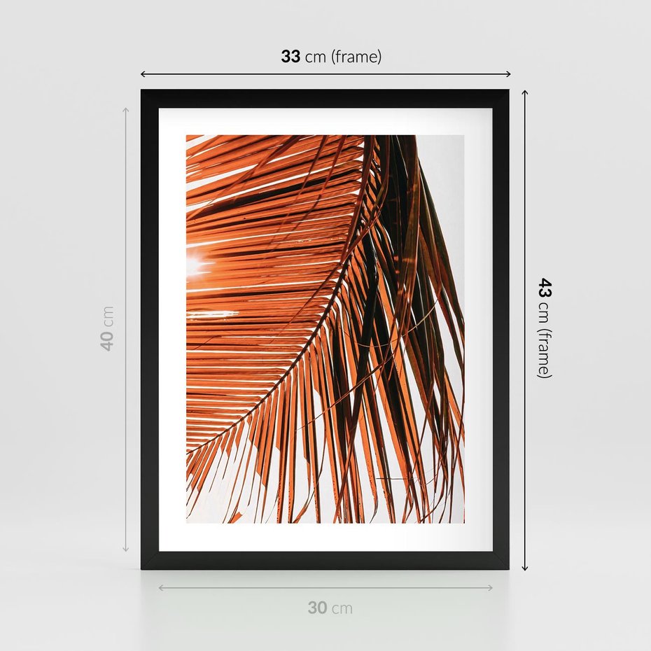Plakat w ramie 30x40 - Słońce na Palmie - palma, promienie słońca - rama czarna