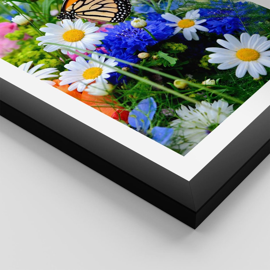 Plakat w ramie 40x50 - Kwiatowy Taniec - motyl, kwiaty - rama czarna