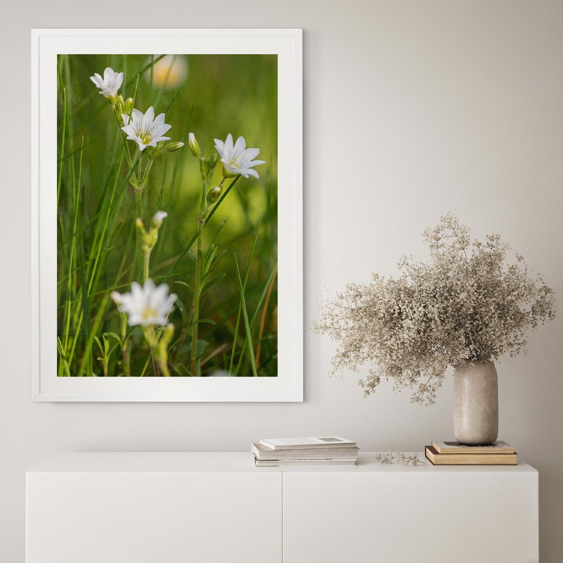 Plakat bez ramy 50x70 - Kolorowa łąka - stokrotki, łąka