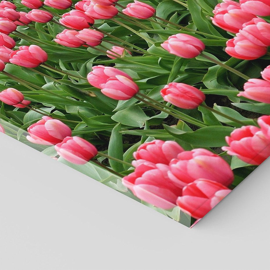 Obraz na płótnie 100x50 - Tulipanowe Elegancja - tulipany, kwiat