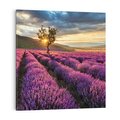 Obraz na płótnie 70x70 - Lawenda: Pachnący ogród natury - lawenda, kwiaty