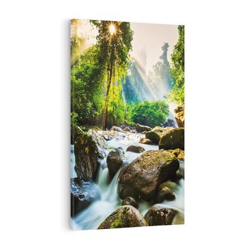Obraz na płótnie 80x120 - Idylliczny strumyk w urokliwym lesie - strumyk, las