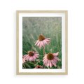 Plakat w ramie 40x50 - Natura w Pełnym Blasku - kwiaty na łące, różowe kwiaty polne - rama drewno