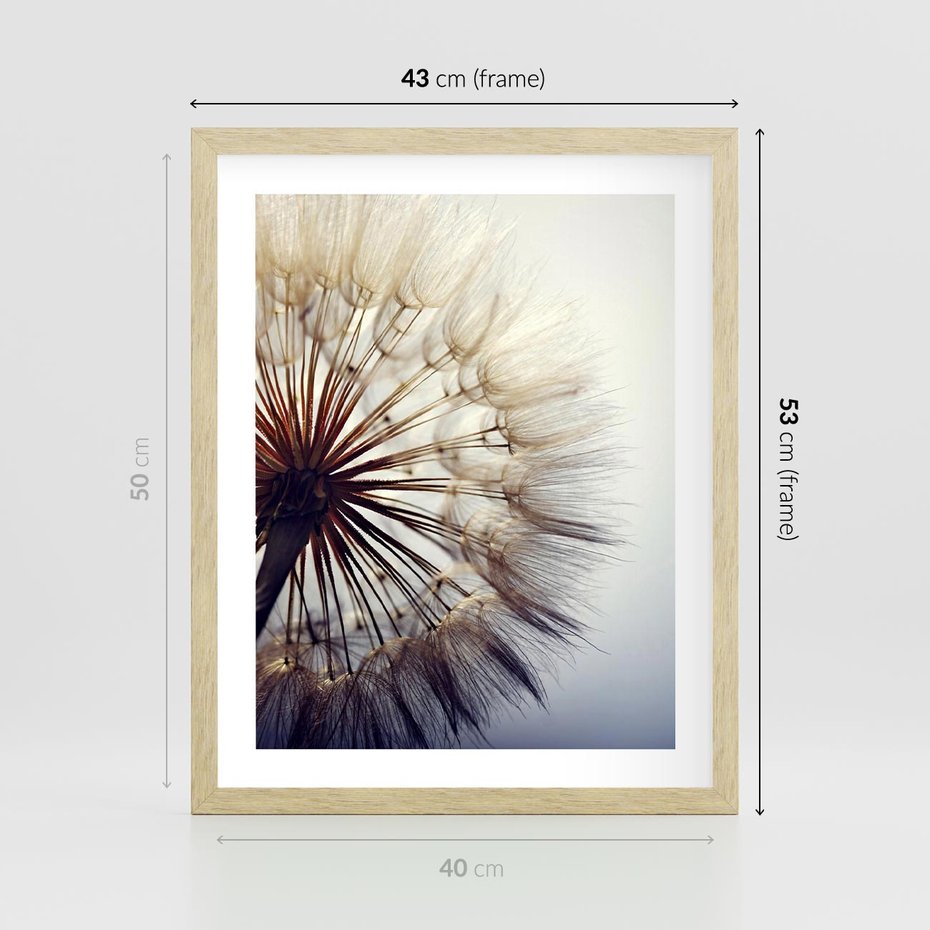 Plakat w ramie 40x50 - Makro piękno dmuchawca - makro, dmuchawiec - rama drewno