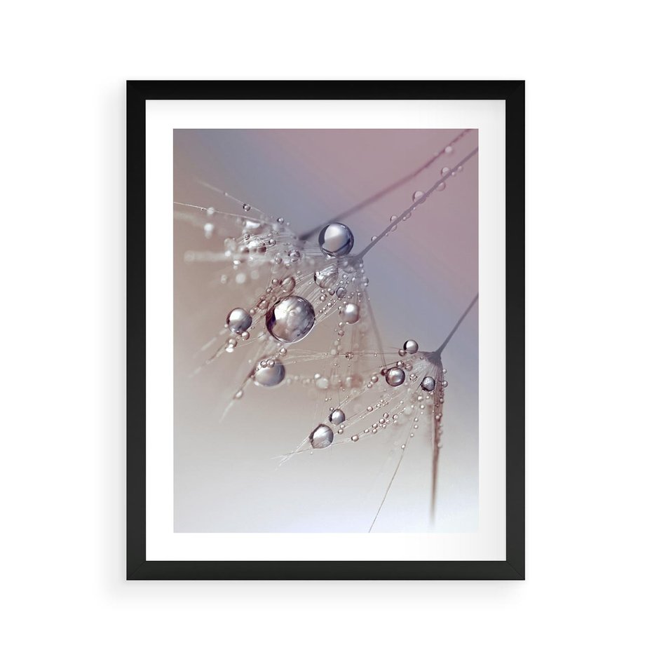 Plakat w ramie 40x50 - Delikatne Natchnienie - krople, dmuchawce - rama czarna