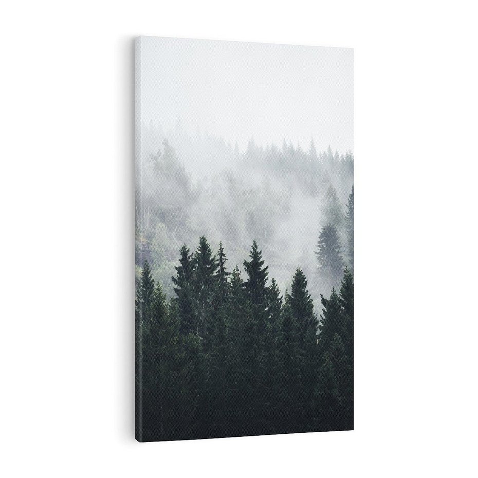 Obraz na płótnie 80x120 - Las w górach: mistyczna mgła - las, góry