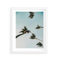 Plakat w ramie 40x50 - Palmy i Niebo - palmy, ujęcie z dołu - rama biała