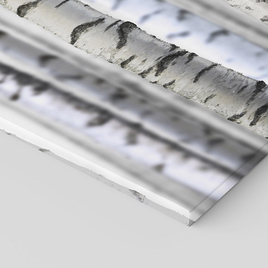 Obraz na płótnie 60x60 - Delikatność brzóz - brzozy, las