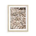 Plakat w ramie 30x40 - Symfonia Natury - kompozycja z białych muszli - rama drewno