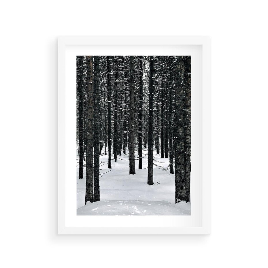 Plakat w ramie 30x40 - Zimowe Drzewa: Śnieg na Pniach - drzew w zimi, pnie drzew - rama biała