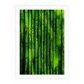 Plakat bez ramy 40x50 - Bambusowy urok zielonej harmonii - bambus, zieleń