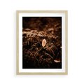 Plakat w ramie 40x50 - Gałęzie i Liść w Brązowej Tonacji - suche gałęzie, liść - rama drewno