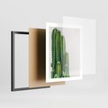 Plakat w ramie 40x50 - Minimalistyczne Kaktusy na Białym Tle - kaktusy, minimalistyczna fotografia - rama czarna