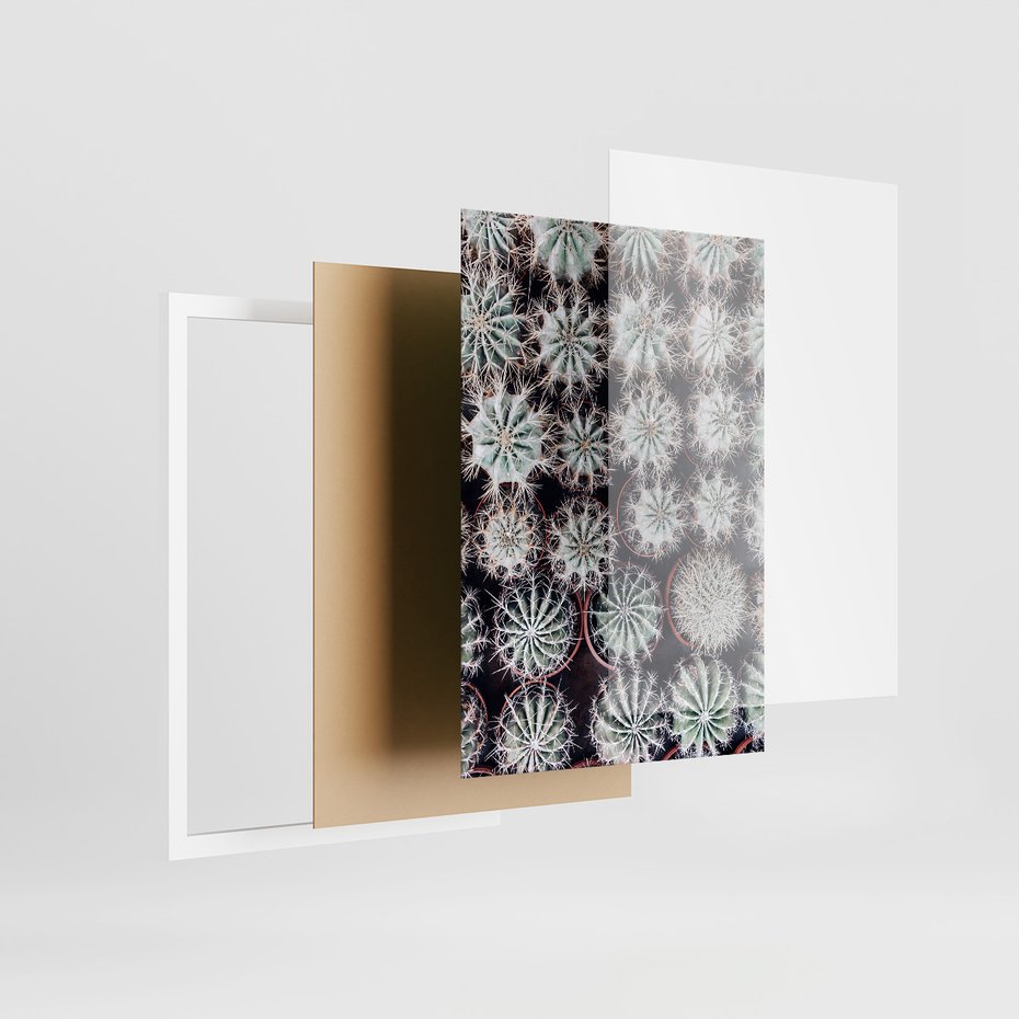 Zestaw obrazy w ramie 40x50 galeria - Kaktusy, liście, boho - rama biała