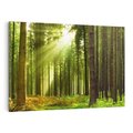 Obraz na płótnie 120x80 - Spokój wśród drzew: las w odcieniach zieleni - las, drzewa