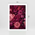 Plakat bez ramy 50x70 - Róże - piękno kwiatów - róże, kwiaty