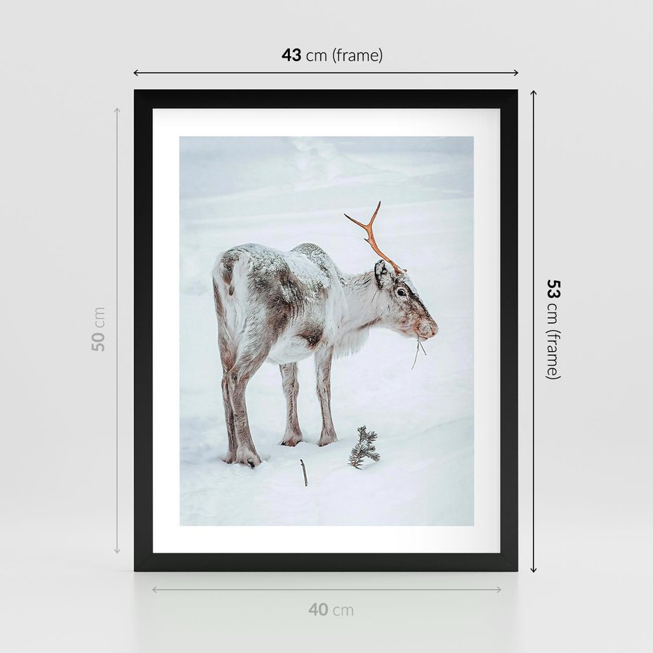 Plakat w ramie 40x50 - Magia Świąt - renifer na śniegu, śnieg - rama czarna
