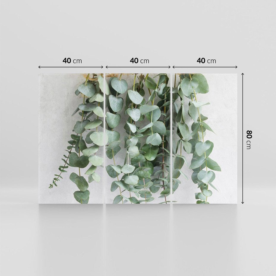 Obraz na płótnie 120x80 - Uwodzicielska zieleń eukaliptusa - eukaliptus, zielone