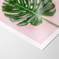 Plakat bez ramy 21x30 - Monstera w Różowym Świetle - liść monstery, różowe tło