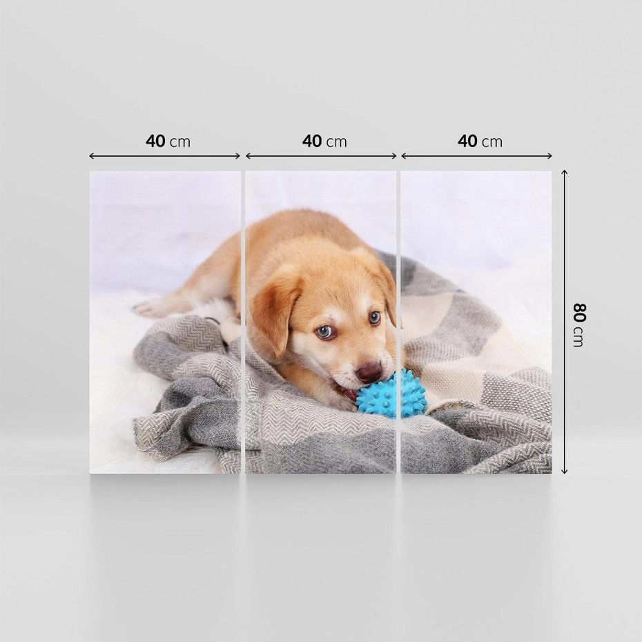 Obraz na płótnie 120x80 - Radość w zabawie: Piesek jako najlepszy przyjaciel - pies, piesek