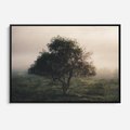 Obraz w ramie 100x70 - Zamglona Prostota - artystyczna fotografia, samotne drzewo na zamglonej łące - rama czarna