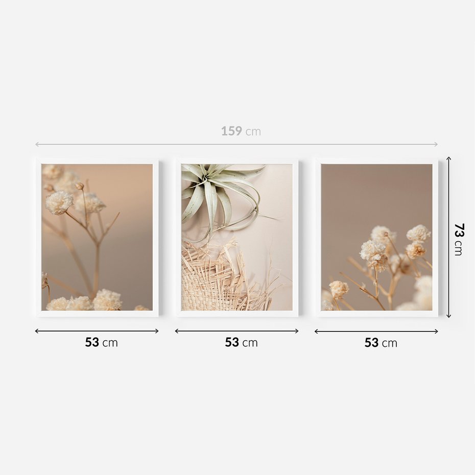 Zestaw obrazy w ramie 50x70 galeria - Suszone, kwiaty, boho - rama biała