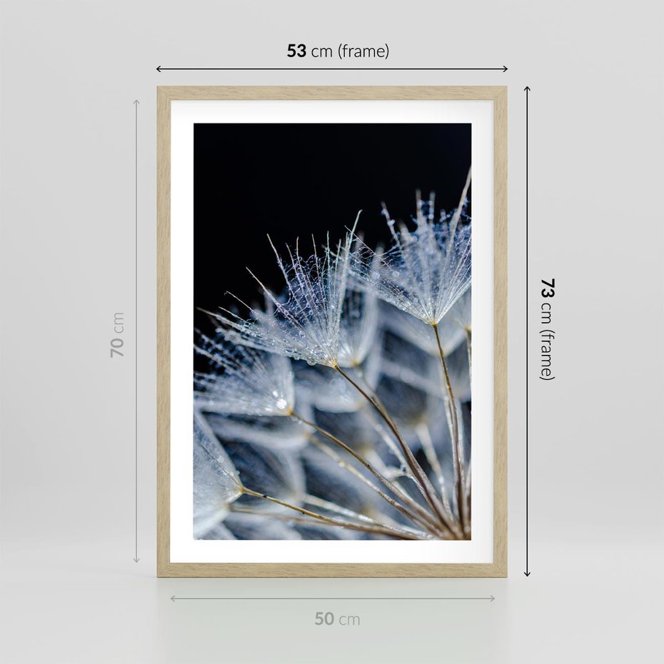 Plakat w ramie 50x70 - Makro piękno dmuchawców - makro, dmuchawce - rama drewno