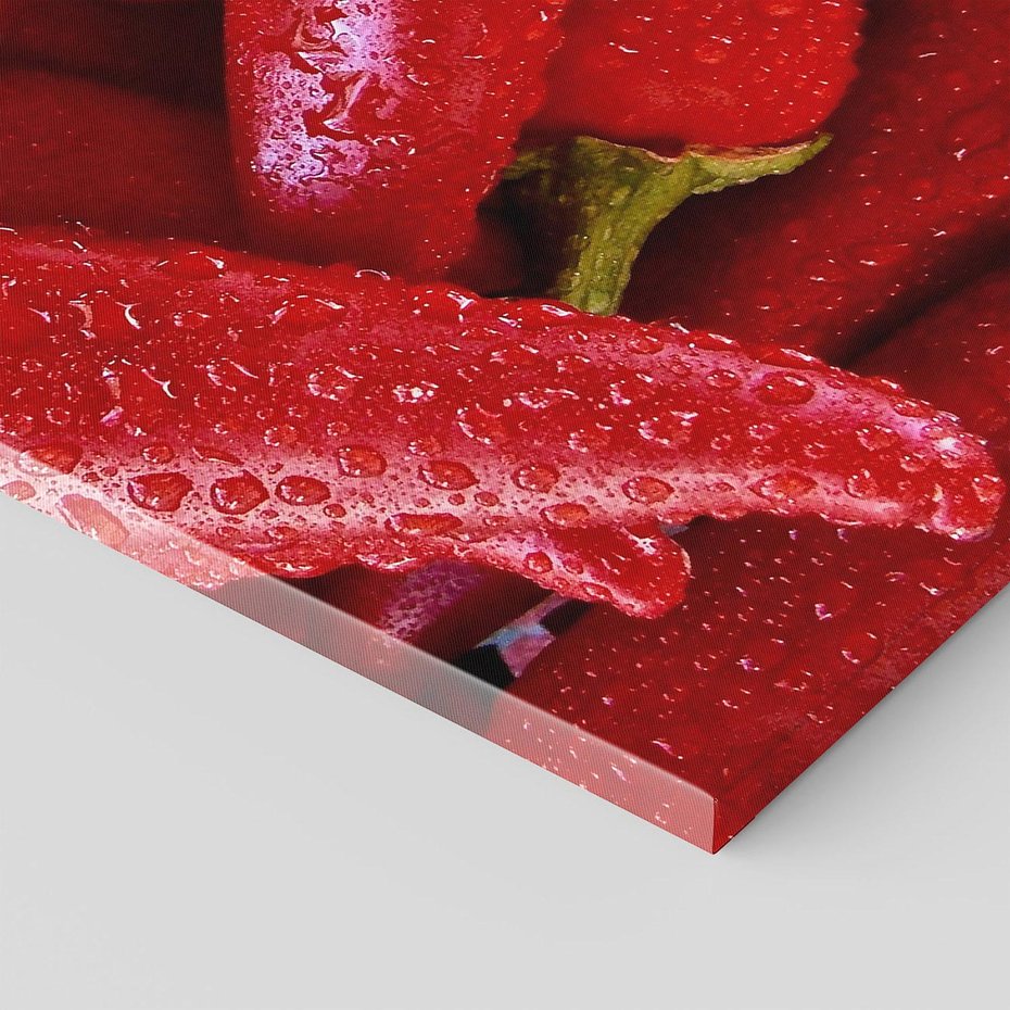 Obraz na płótnie 50x70 - Czerwone Papryczki - czerwone, papryczki