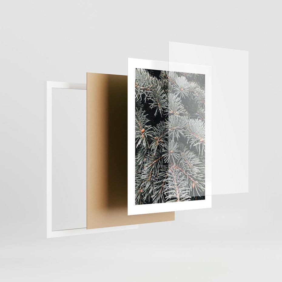 Plakat w ramie 30x40 - Zima na Gałęziach - sosnowe gałęzie, igły - rama biała