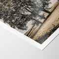 Plakat bez ramy 30x40 - Spokojna Osamotniona Chwila - beżowe kolory, samotne drzewo na polu