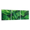 Obraz na płótnie 150x50 - Palma Liście Kwiat - palma, liście