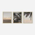 Zestaw obrazy w ramie 50x70 galeria - Palmy, plaża, zachód, słońca - rama drewno