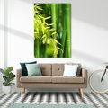 Obraz na płótnie 80x120 - Spokój bambusowego lasu SPA - bambus, drzewa