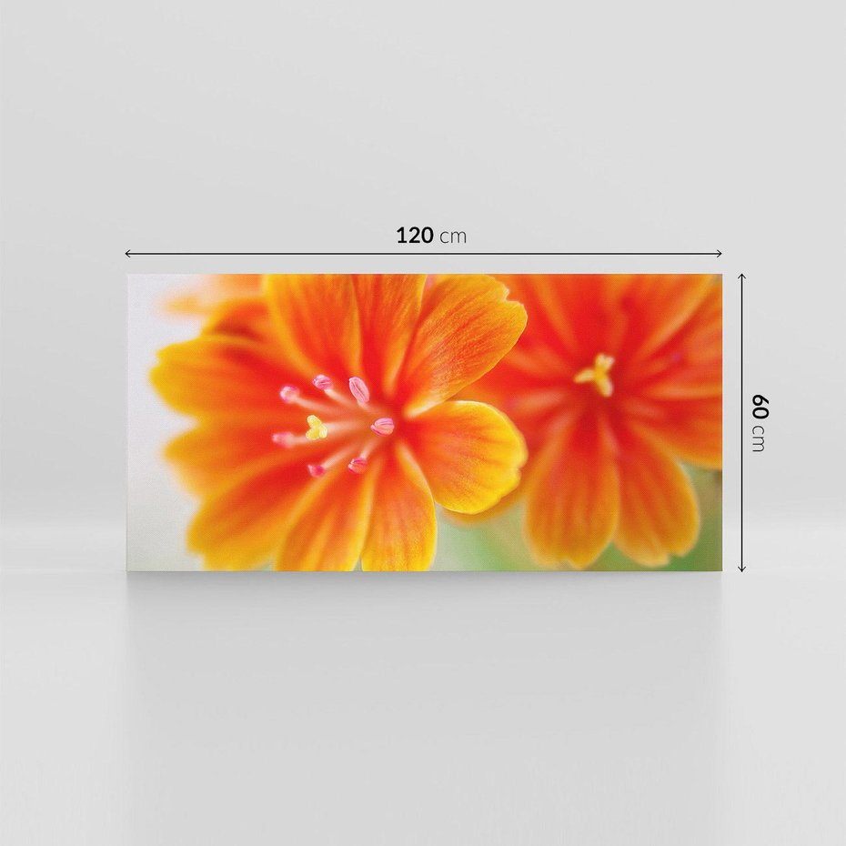 Obraz na płótnie 120x60 - Urok kwiatów - kwiat, kwiaty