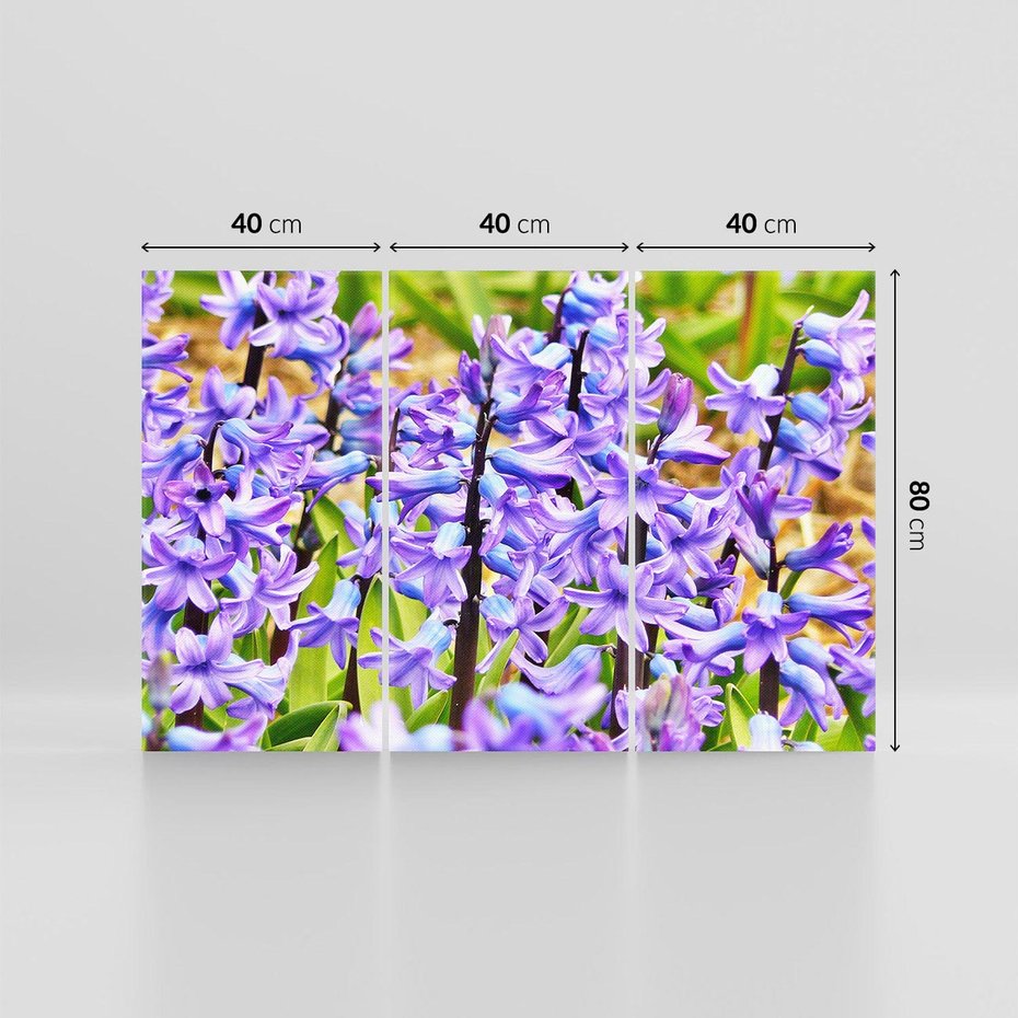 Obraz na płótnie 120x80 - Kwiatowy wibrant piękno natury - kwiat, kwiaty