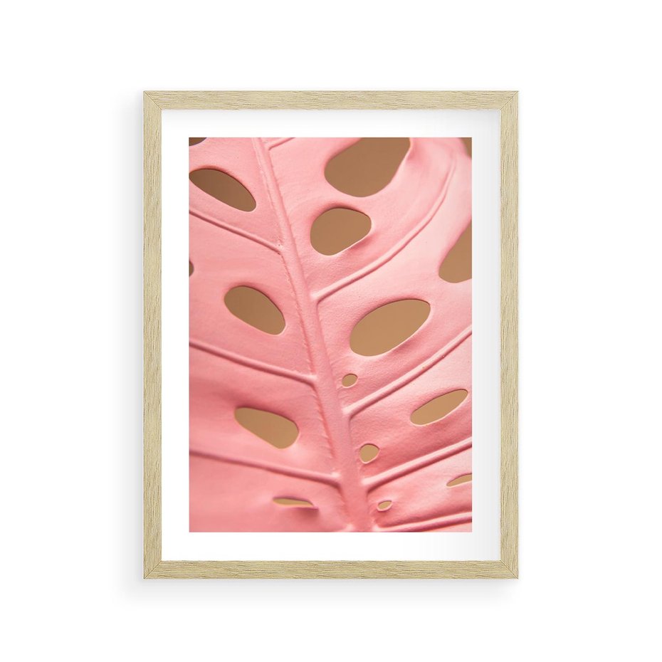 Plakat w ramie 30x40 - Różowy Liść Monstery - różowy liść monstery, nowoczesna fotografia - rama drewno