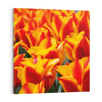 Obraz na płótnie 60x60 - Kwiatowa natura - kwiat, kwiaty