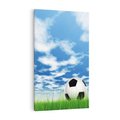 Obraz na płótnie 50x70 - Piłkarska Pasja - piłka, nożna