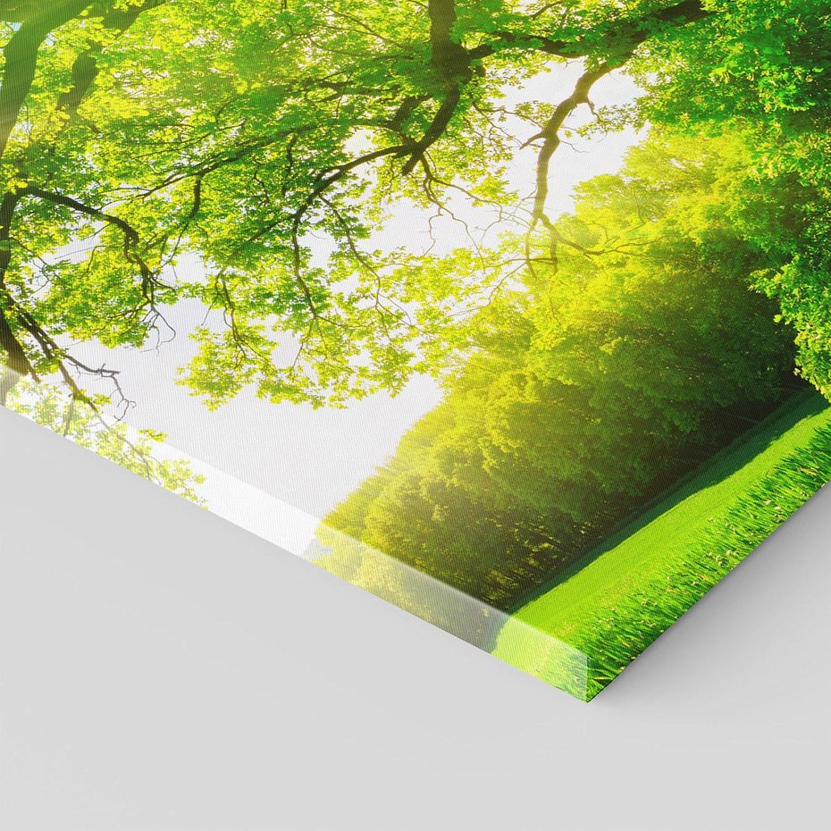 Obraz na płótnie 80x120 - Natura w pełnym rozkwicie - drzewo, niebo