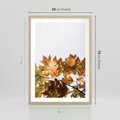 Plakat w ramie 50x70 - Suche Żółte Liście w Malowniczym Ujęciu - liście, żółte - rama drewno