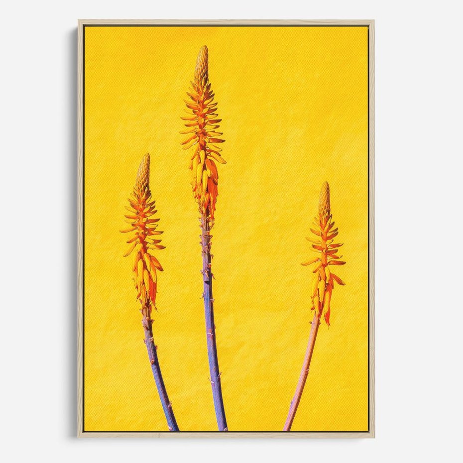 Obraz w ramie 50x70 - Radość Natury - kolor, kwiaty - rama drewno