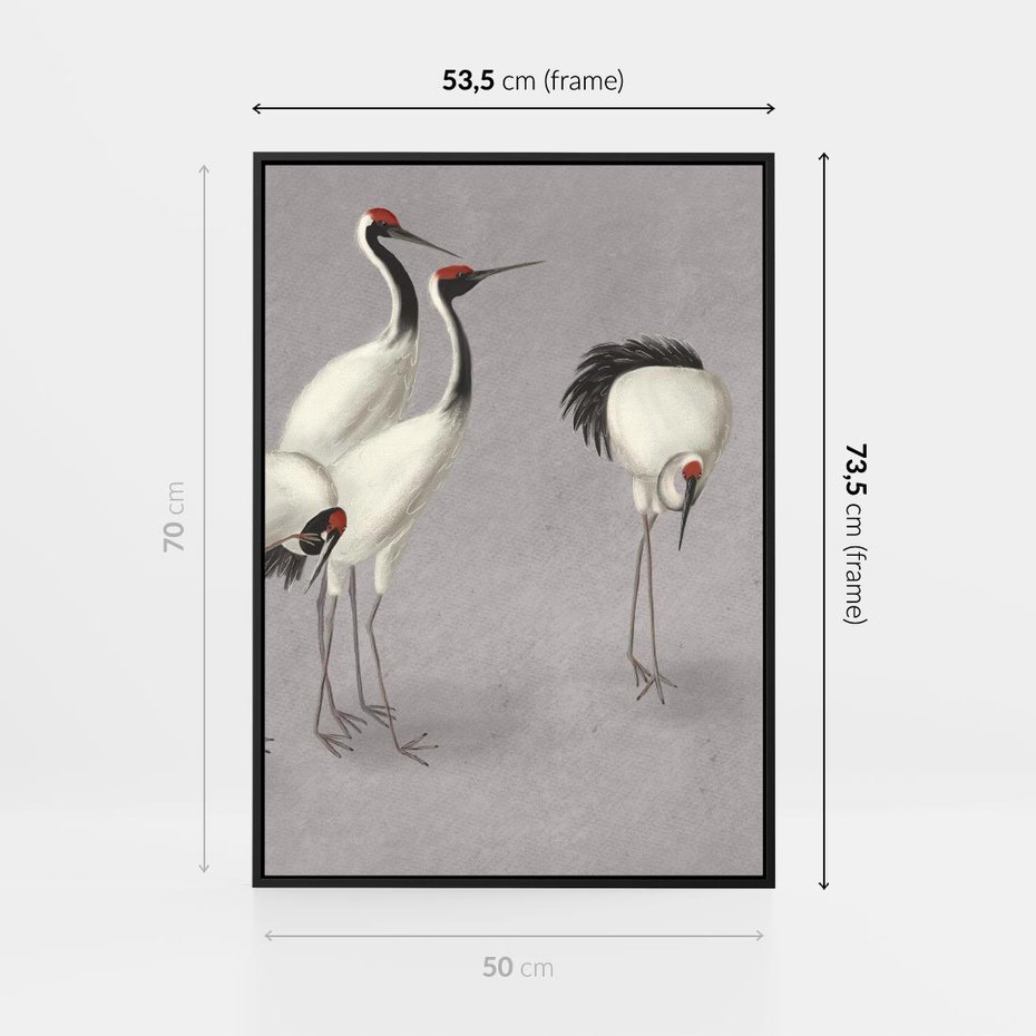 Obraz w ramie 50x70 - Spojrzenie wstecz w pędzlu - szkic rysunek, japońskie żurawie - rama czarna