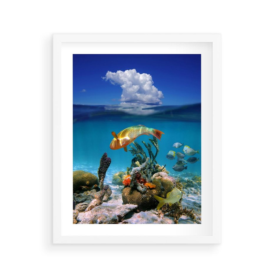 Plakat w ramie 40x50 - Podwodna rafa koralowa: kolorowy oceanowy świat - rafa, koralowa - rama biała