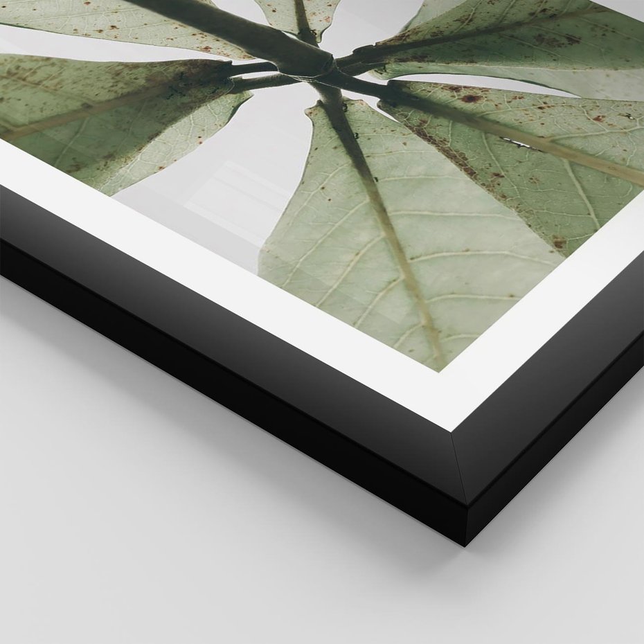 Plakat w ramie 30x40 - Jasna Zieleń w Makro - makro zdjęcie liści, jasna zieleń - rama czarna