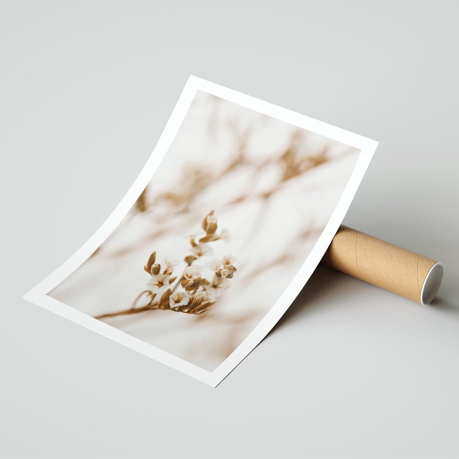 Plakat bez ramy 50x70 - Kwiatowa suchość - kwiaty, susz