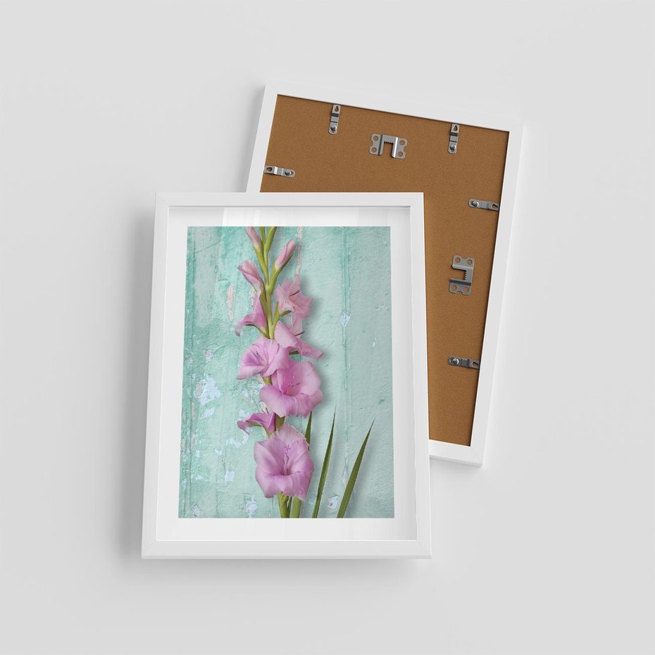Plakat w ramie 30x40 - Piękno w delikatności - kwiaty, różowe - rama biała