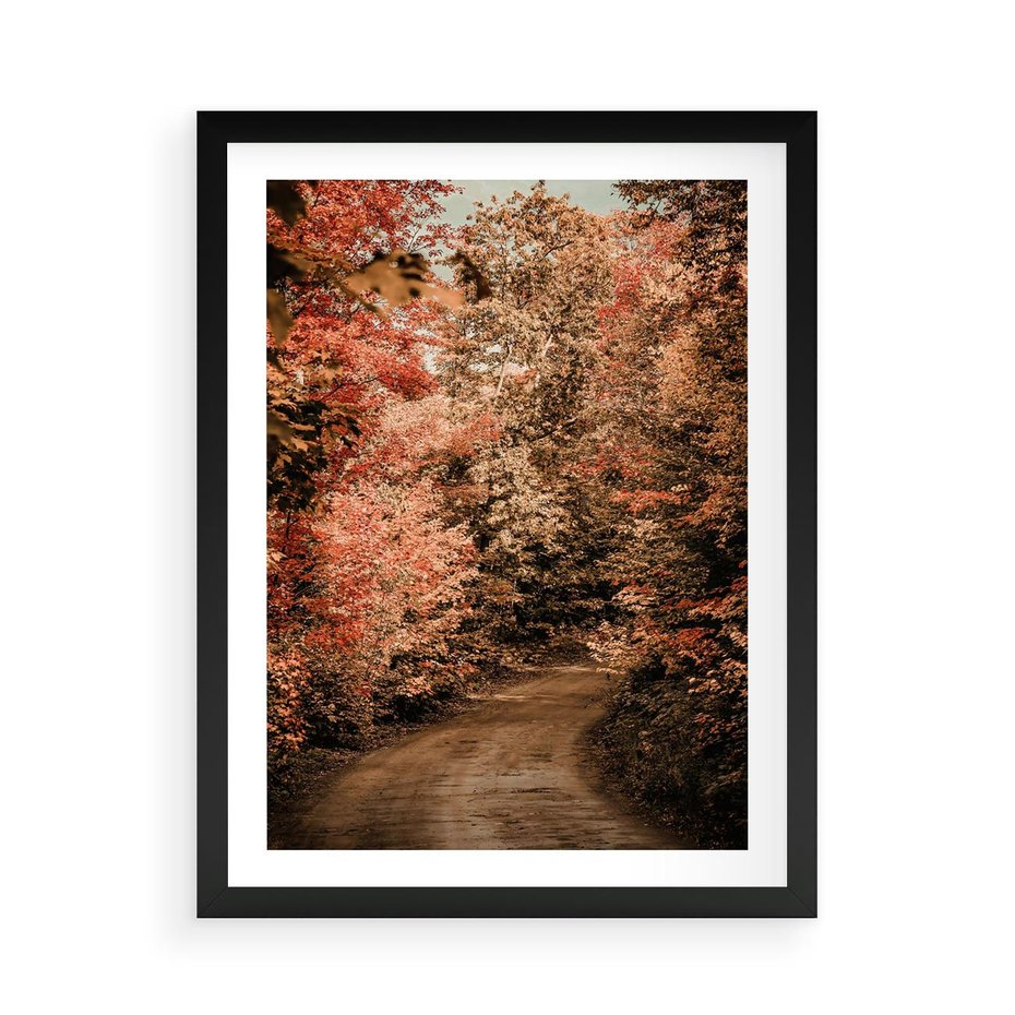 Plakat w ramie 50x70 - Obraz przedstawia jesienne drzewa i czerwone liście na ścieżce w lesie. Ta sceneria doskonale oddaje urok i kolorystykę jesieni w lesie. - las, jesień - rama czarna