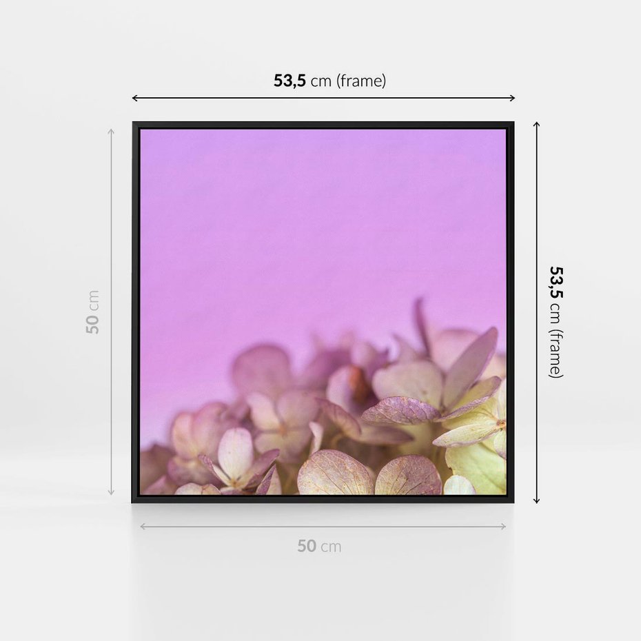 Obraz w ramie 50x50 - Kwiatowa Uroda - kwiaty, hortensje - rama czarna