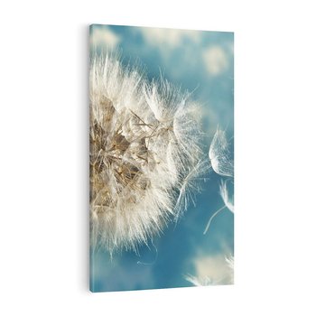 Obraz na płótnie 70x100 - Delikatność dmuchawców w pejzażu - dmuchawiec, kwiaty